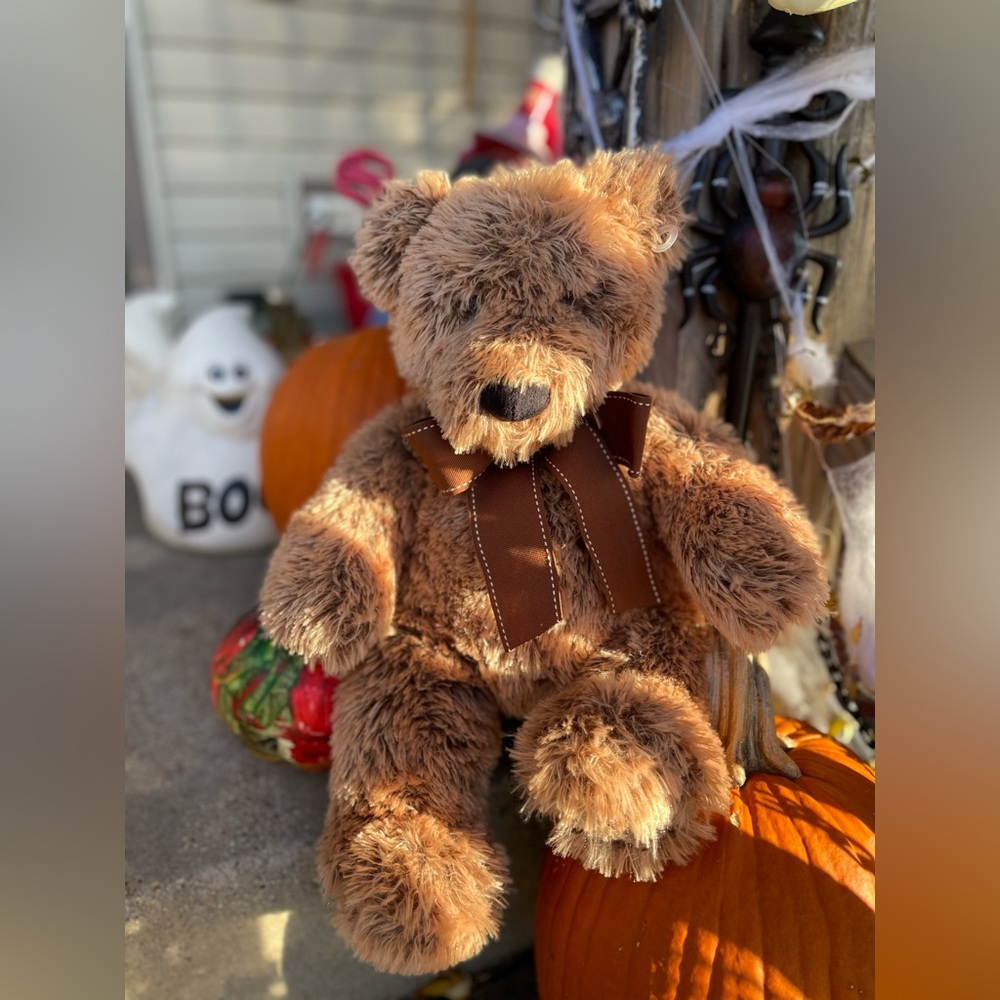 teddy Bear 19’